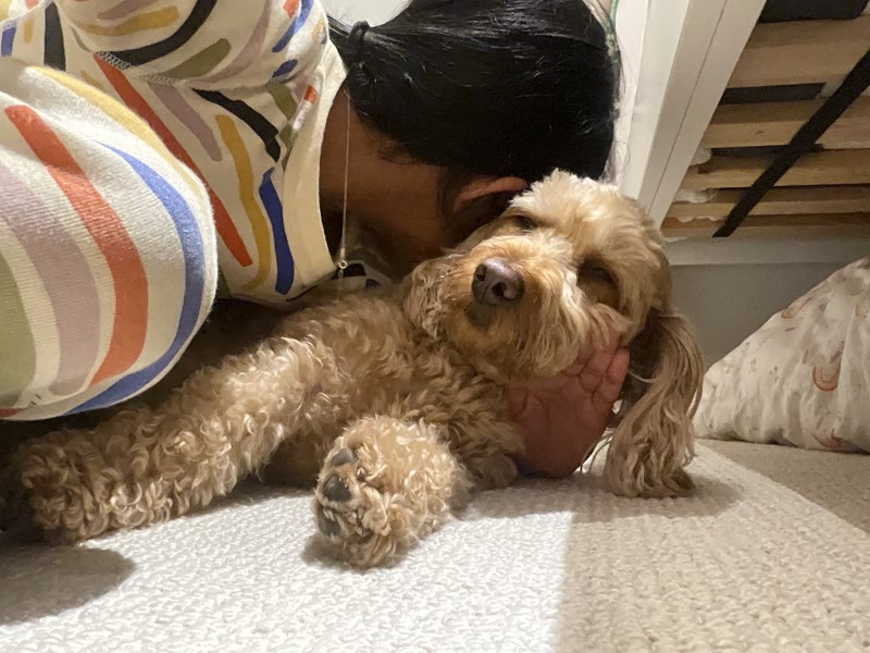 cuddle time 🧡