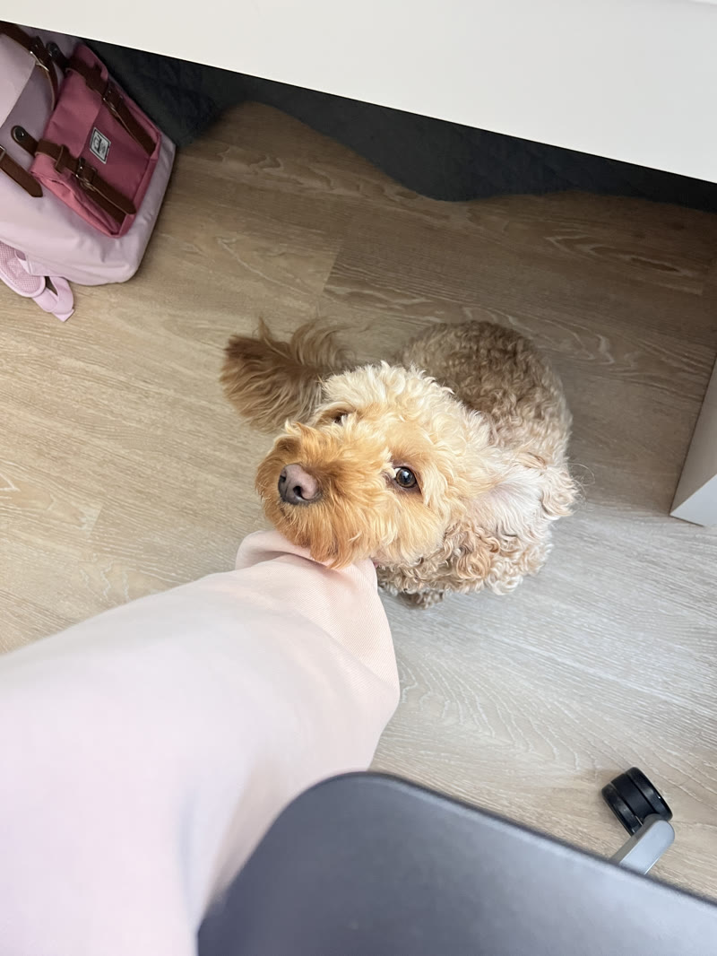 looking up at me 🥺